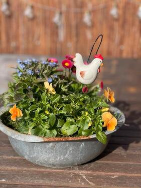 Foto - andere zur Miete in Löbnitz