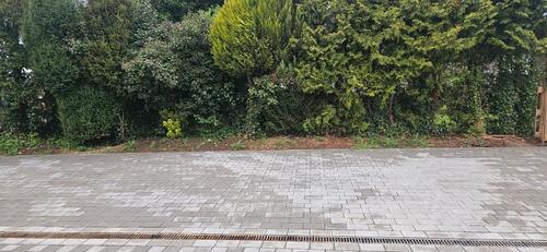 Foto - Parkplätze zu vermieten - 60,00&nbsp;EUR Miete,