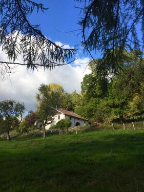 Foto - Einfamilienhaus in Bonn zum Kaufen