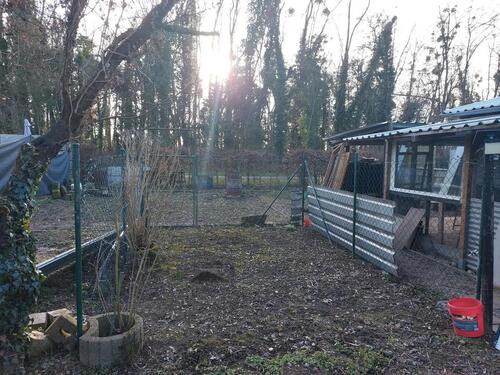 Foto - Grundst&uuml;ck in Weil am Rhein