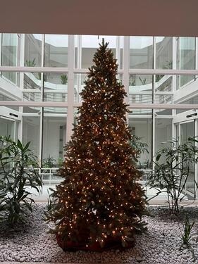 Foto - Etagenwohnung in Düsseldorf zur Miete