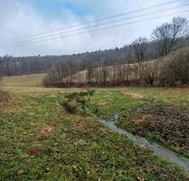 WieseWeide Nähe Oberzent zu verpachten