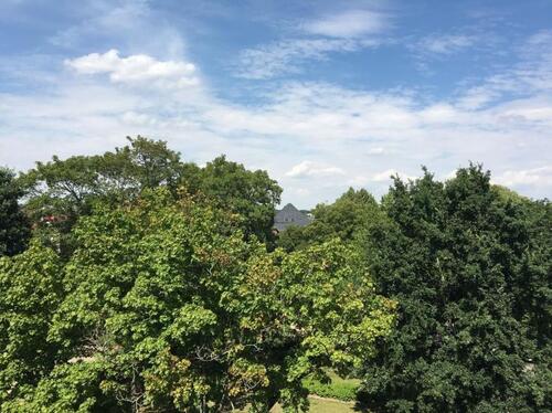 Foto - 3.5 Zimmer Dachgeschoßwohnung zur Miete in Chemnitz