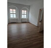 5 Raum Wohnung - 1.285,00&nbsp;EUR Kaltmiete, ca.&nbsp; 155,00&nbsp;m&sup2; in Torgau (PLZ: 04860)