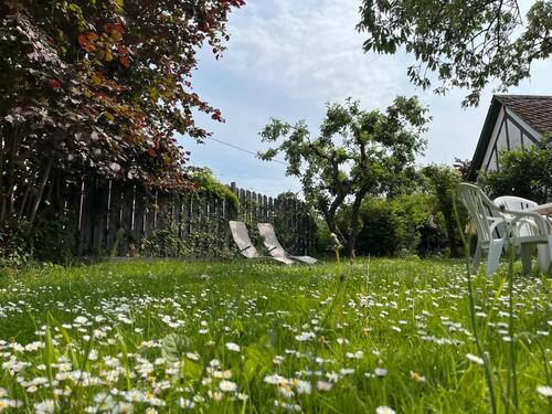 Foto - andere in Cochem