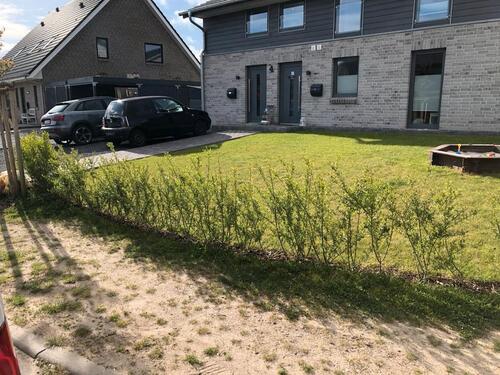 Foto - 2 Zimmer Erdgeschoßwohnung zur Miete in Harrislee