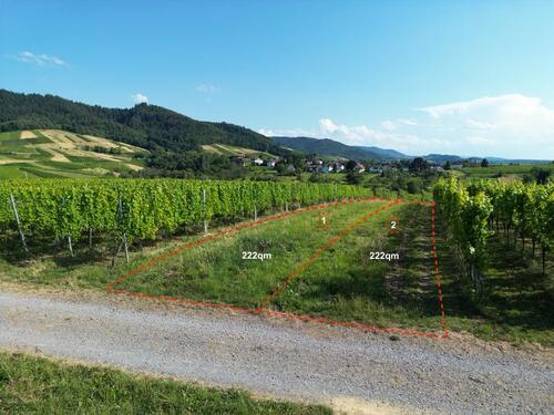 Foto - Grundstück, Acker, Wiese, Freizeitgrundstück in Steinbach