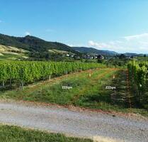 Grundstück, Acker, Wiese, Freizeitgrundstück in Steinbach - Baden-Baden Lichtental