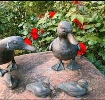 Großzügiges Wohnen mit Gewerbemöglichkeit - Merzenich