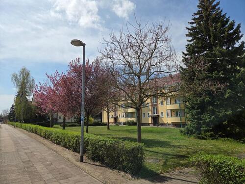 Foto - Etagenwohnung in Seehausen (Altmark)