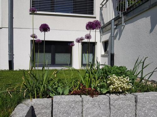 Foto - andere zur Miete in Überlingen