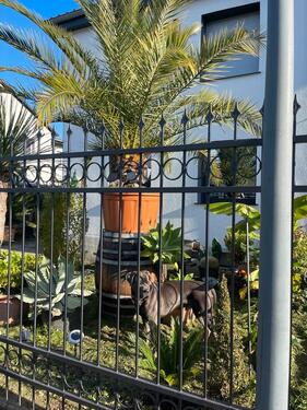 Foto - 10 Zimmer Einfamilienhaus in Dortmund