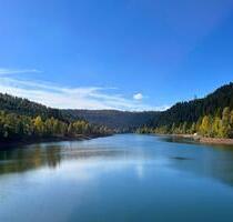 Ferienhaus im Schwarzwald am See I 4 Nächte I 1-6 Personen - Seewald
