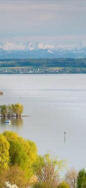 Foto - Designerhaus komplett neu möbl.ÖhningenHöri Traum-Seesicht