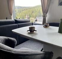 4 Nächte Ferienhaus im Schwarzwald am See Ferienwohnung 1-6 P. - Seewald