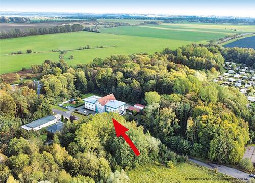 Foto - Auktion - Waldfläche in 18356 Barth, Divitzer Weg (westlich von Nr. 3)