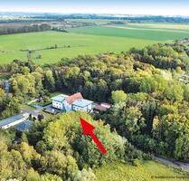 Auktion - Waldfläche in 18356 Barth, Divitzer Weg (westlich von Nr. 3)