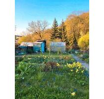 Garten mit Blick auf die Dornburger Schlösser - Lehesten