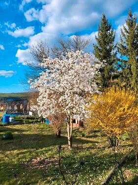 Foto - Grundst&uuml;ck in Lehesten