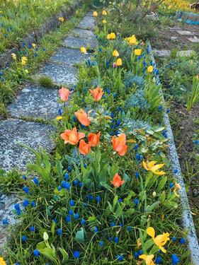 Foto - Grundst&uuml;ck in Lehesten zur Miete