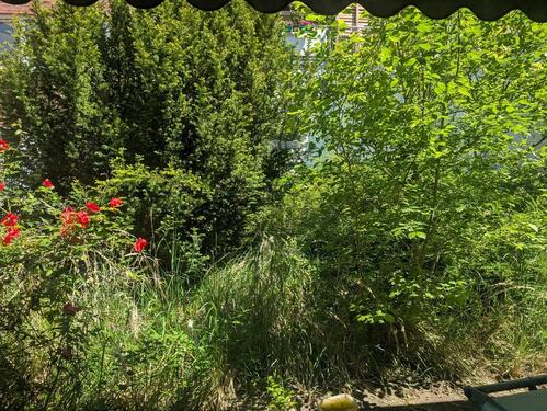 Foto - andere zur Miete in Düren