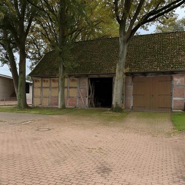 Foto - Einfamilienhaus in Badbergen zum Kaufen