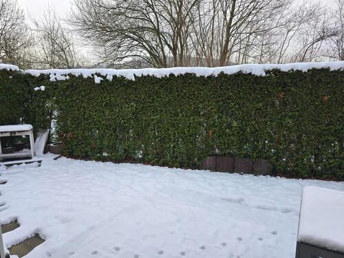 Foto - 5 Zimmer Einfamilienhaus zur Miete in Iserlohn