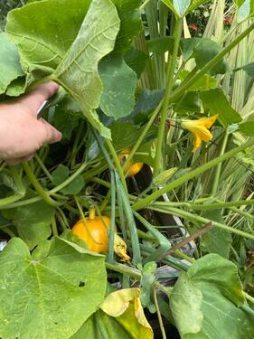 Foto - Grundst&uuml;ck in Schwerte