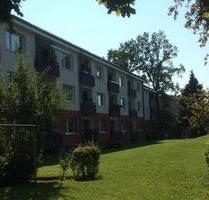 ‼️ Sonnige 2,5 Zimmer Wohnung in ruhiger Lage Provisionsfrei - Henstedt-Ulzburg