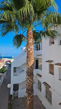 Foto - Ferienwohnung in Torrevieja, El Paraiso, mit seitlichen Meerblick