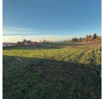 1900m2 Lagerfläche Zwischenlager Schrebergarten abstellfläche - Dannstadt-Schauernheim