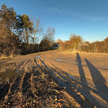 Foto - andere in Dannstadt-Schauernheim zur Miete