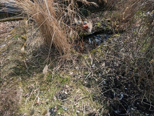 Foto - Grundst&uuml;ck in Suhl