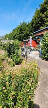 Foto - Grundstück zur Miete in Dessau-Roßlau