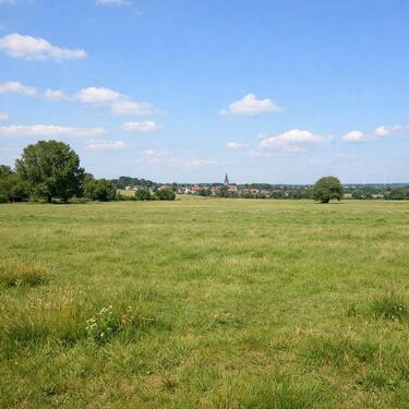 Foto - Weideland etwa 40000 qm (4 Hektar) als Schafsweide Pferdeweide