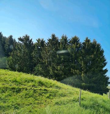 Foto - Haushälfte zu vermieten - 565,00 EUR Kaltmiete,