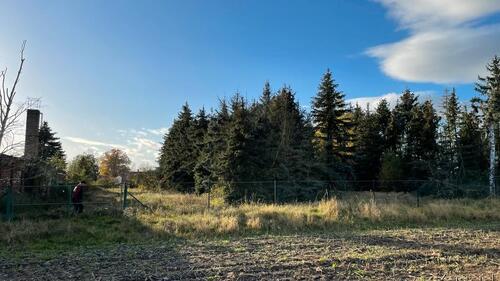 Foto - Einfamilienhaus in Stendal zum Kaufen