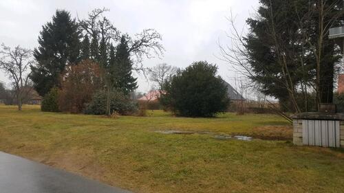 Foto - Einfamilienhaus zur Miete in Hankensbüttel