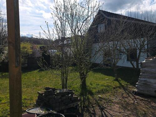 Foto - Mehrfamilienhaus, Wohnhaus in Aerzen zum Kaufen