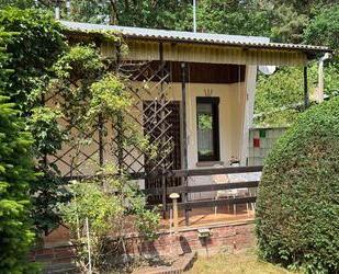Gepflegtes Wochenendgrundstück mit Bungalow in ruhiger Waldlage - Kemberg