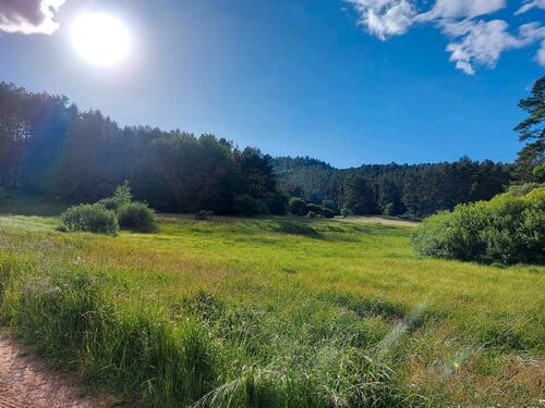 Foto - Wohnen auf Zeit - 750,00 EUR Kaltmiete,