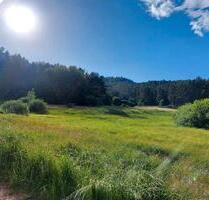Wohnen auf Zeit - 750,00 EUR Kaltmiete, in Bruchweiler-Bärenbach (PLZ: 76891)