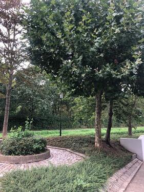 Foto - 3 Zimmer Etagenwohnung zur Miete in Geilenkirchen