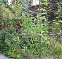 gemütliche 2,5-Zi-Altbauwohnung mit Garten - Stuttgart Vaihingen