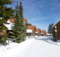 Ferienhaus Blauvogel 60,Hasselfelde - Sauna im Gemeinschaftshaus - Oberharz am Brocken