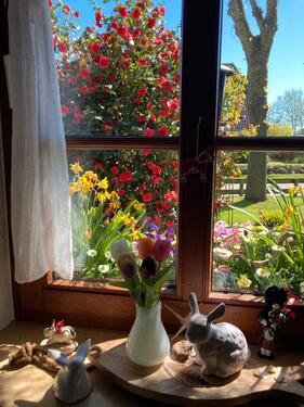 Foto - Nordsee Insel Föhr, gem.Ferienwohnung f.2-3 Pers.