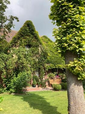 Foto - andere zur Miete in Wyk Auf Föhr