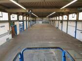Foto - Halle Produktionshalle Lagerhalle zu vermieten