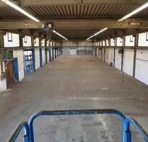 Halle Produktionshalle Lagerhalle zu vermieten - Hennef (Sieg)