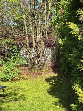 Foto - Grundst&uuml;ck in Ober-Olm